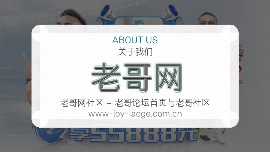 老哥网平台简介